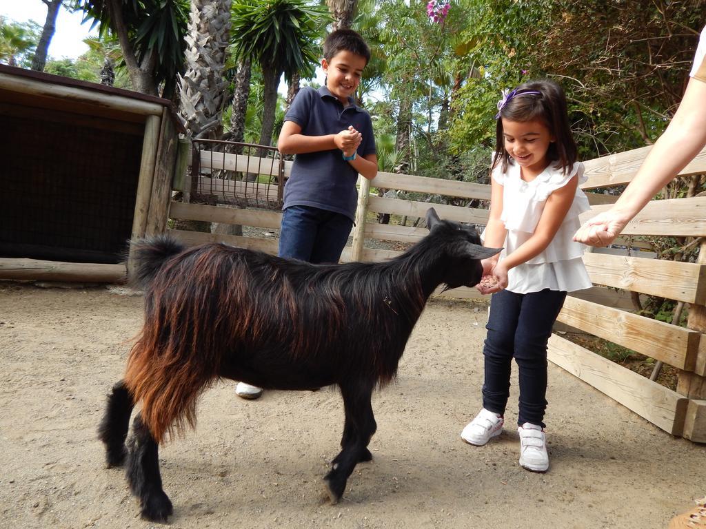 Hotel Selwo Lodge - Animal Park Tickets Included Estepona Exterior photo